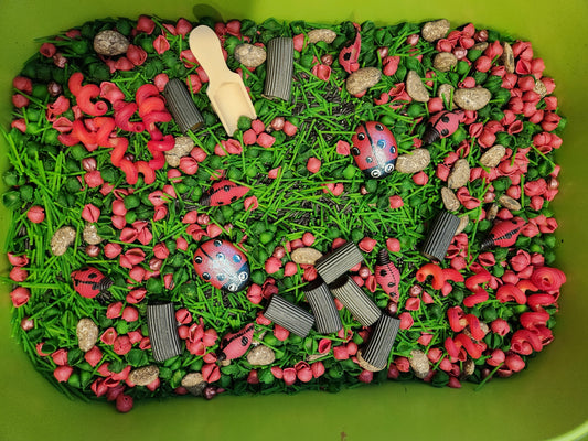 🐞 Ladybug Sensory Kit 🌿