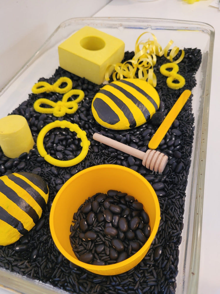 Sensory Kits – Inspire Imagination & Hands-On Discovery